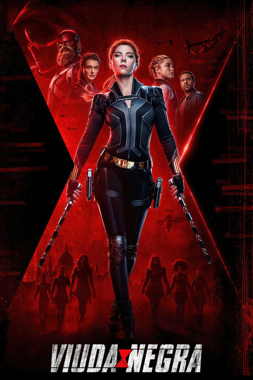 Póster de Viuda Negra