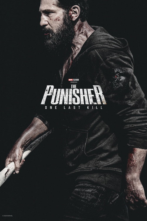 Póster de Punisher: One Last Kill